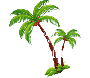 free.holiday